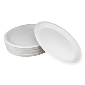 10" X 7.5" Small Oval Plate