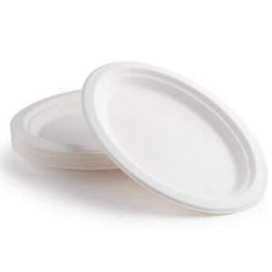 12.5" X 10" Large Oval Plate