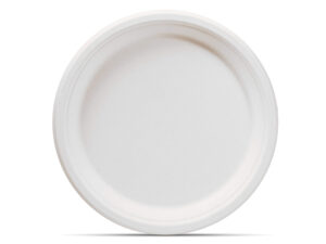 10" ROUND PLATE