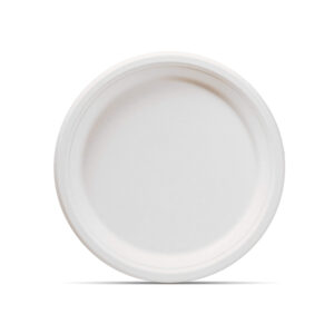 12" ROUND PLATE