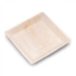 palm - plate-squre